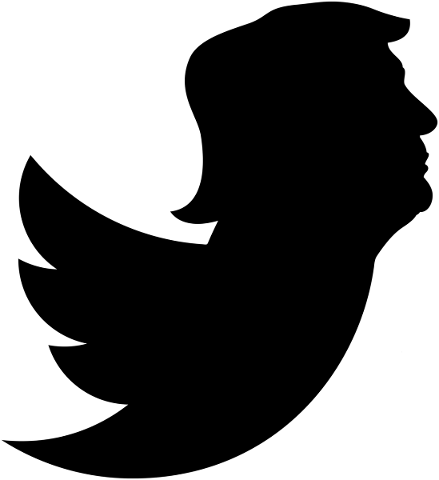 donald-trump-twitter-president-5337620