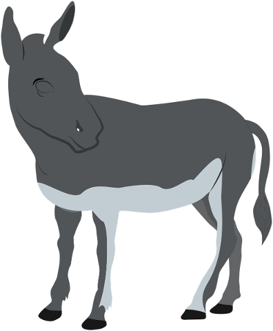 animal-donkey-icon-wild-wildlife-5821698