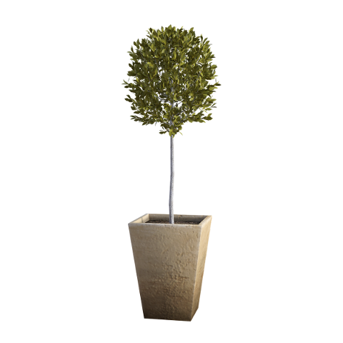 tree-potted-3d-render-vase-dirt-5004279