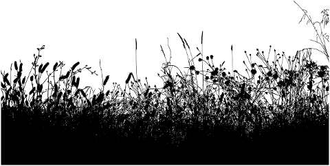 vegetation-grass-silhouette-brush-7194318