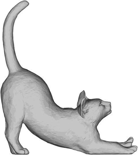 cat-animal-stretching-geometric-8000851