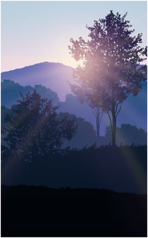 sunset-tree-landscape-sky-4844643