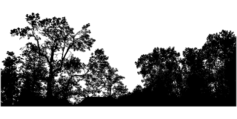 trees-landscape-silhouette-forest-4522465