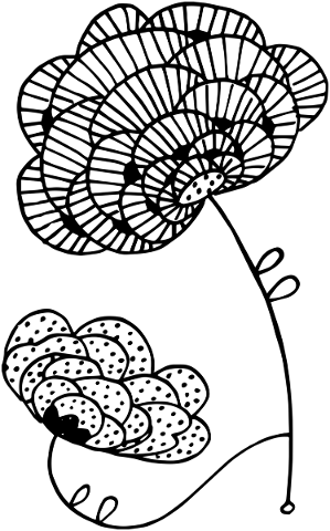 zentangle-flower-bohemian-floral-4881167