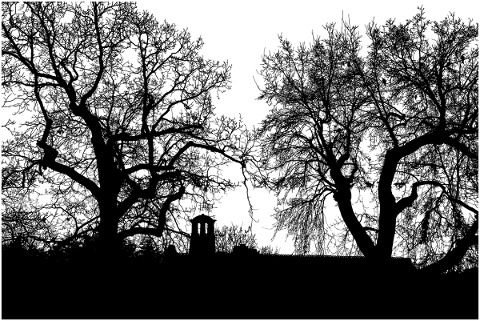 forest-trees-silhouette-branches-4633746
