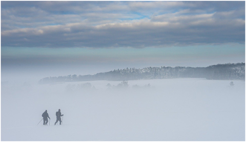 winter-fog-snow-nature-landscape-4704324