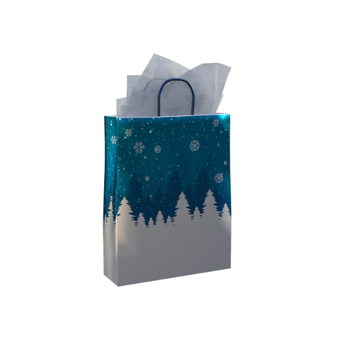 gift-bag-paper-handle-shop-buy-4724437