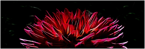 banner-flowers-fractalius-abstract-4487450