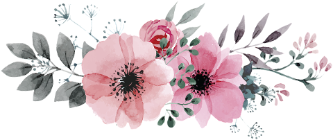 flower-ornament-nature-pink-plant-4329170