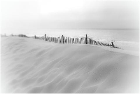 beach-sand-fence-picardy-vacations-4786487