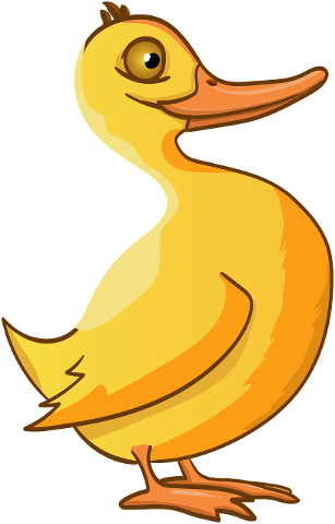 duck-bird-duckling-yellow-cute-4525218