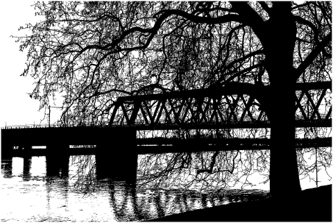 tree-bridge-silhouette-branches-5240444