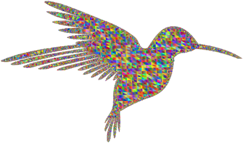hummingbird-low-poly-line-art-4678490