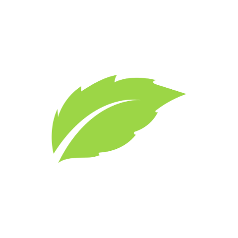 eco-icon-logo-leaf-friendly-green-5465433