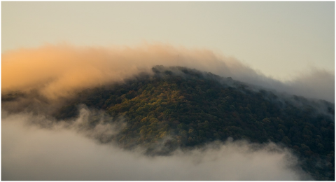 fog-autumn-sunrise-nature-4969649
