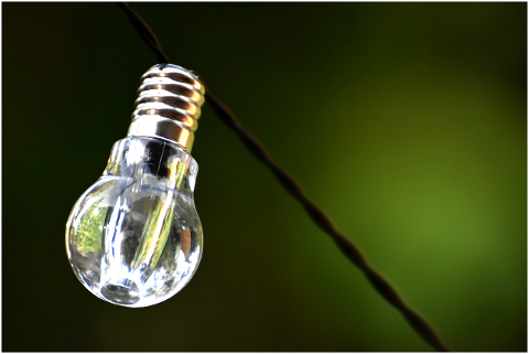 light-bulb-energy-nature-4359730