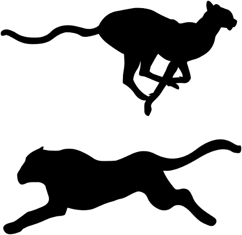 silhouette-cougar-leopard-animal-5464588