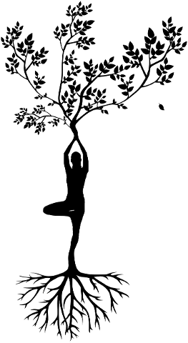 silhouette-women-tree-yoga-3087517