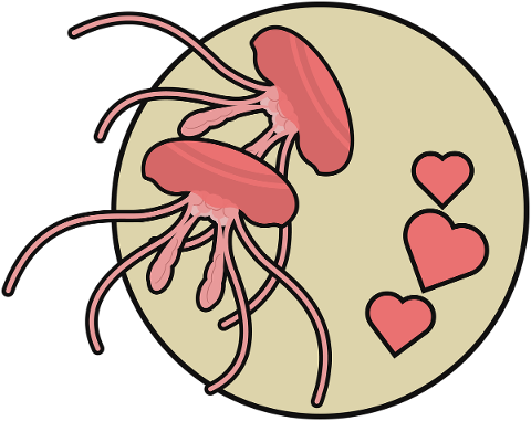 twin-jellyfish-love-pink-circle-5217983