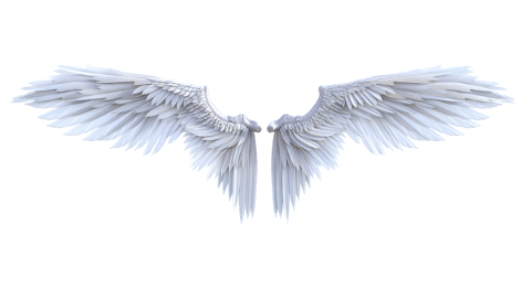 angel-wings-fairy-isolated-4870052