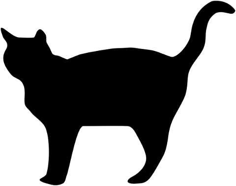cat-animal-pet-kitten-domestic-cat-4693475