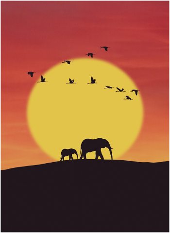 elephant-sunset-sun-illustration-4464270