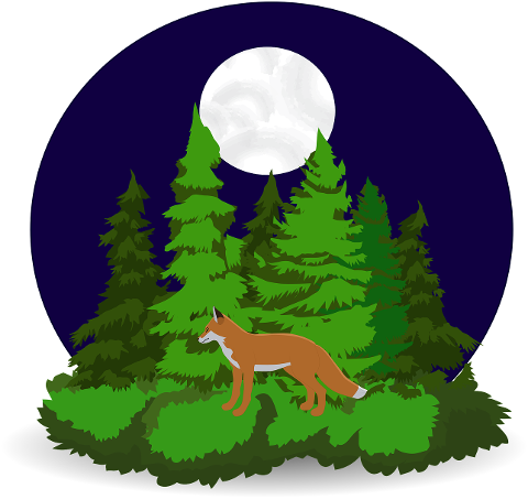 fox-nature-animal-night-trees-7005876
