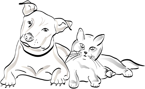 dog-cat-domestic-animal-silhouette-1532627