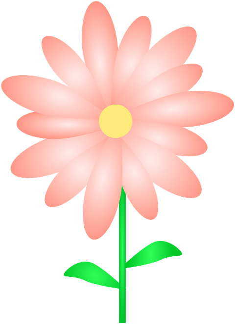 flower-nature-bottomless-decoration-9857961