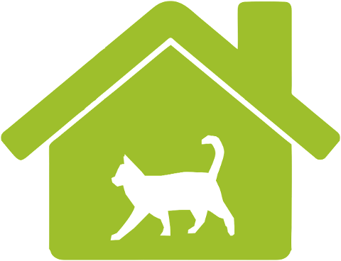 cat-feline-pet-house-animal-cute-7057193
