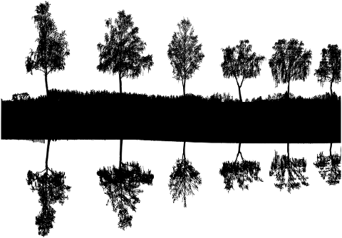 trees-lake-silhouette-landscape-6028810