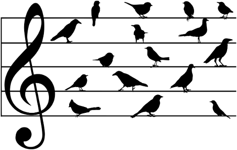 birds-on-a-wire-bird-silhouette-5729878