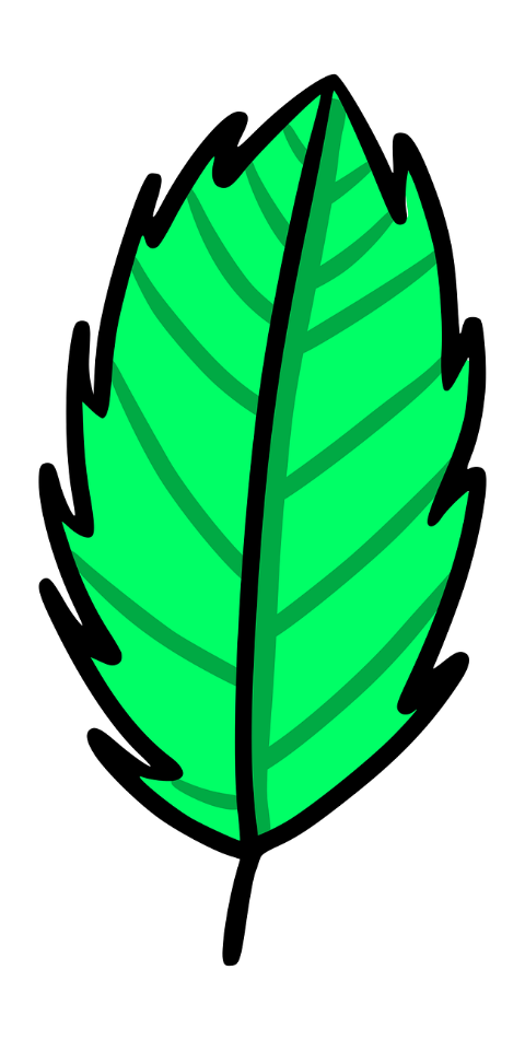 leaf-plant-nature-foliage-drawing-7453954