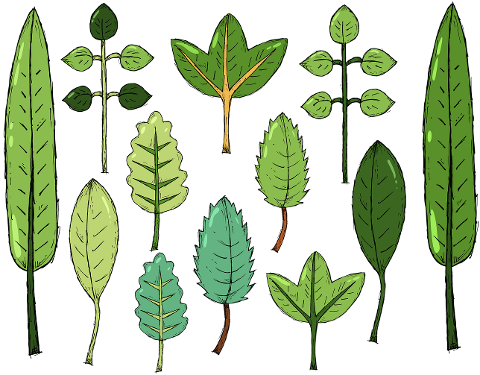 leaves-foliage-drawing-art-plants-4395694