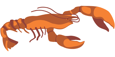 lobster-seafood-crustacean-cutout-6681672
