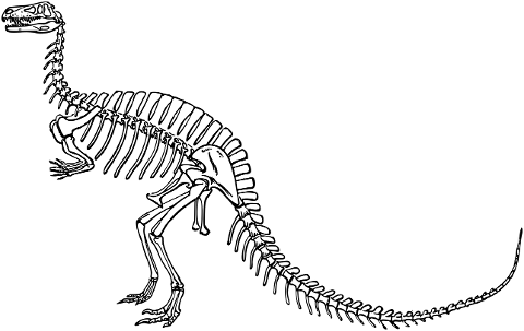 dinosaur-skeleton-fossil-bones-6277236