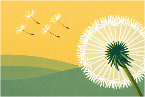 dandelion-seeds-blowing-wind-10212840