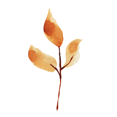 leaves-branch-watercolor-twig-5835574