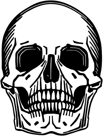 skull-head-line-art-cranium-scary-5818712