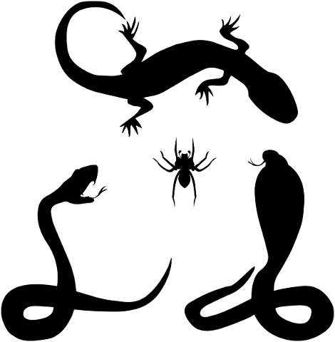 silhouette-reptiles-snakes-lizard-5464581