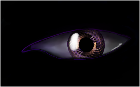 eye-pupil-creature-magic-violet-5431794