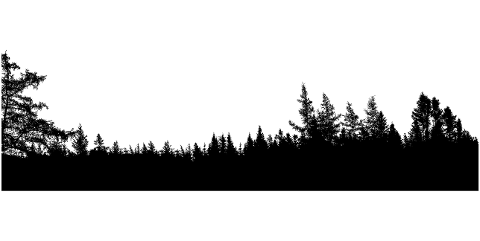 forest-trees-panorama-silhouette-4321419