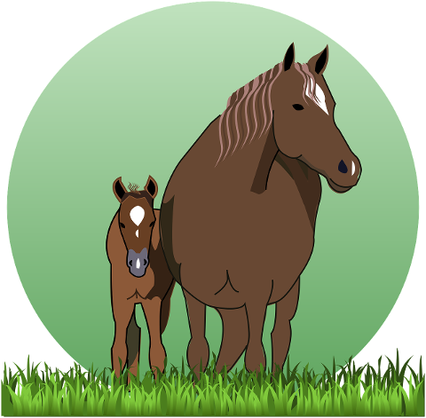 horse-cub-horse-with-cub-horses-4462637