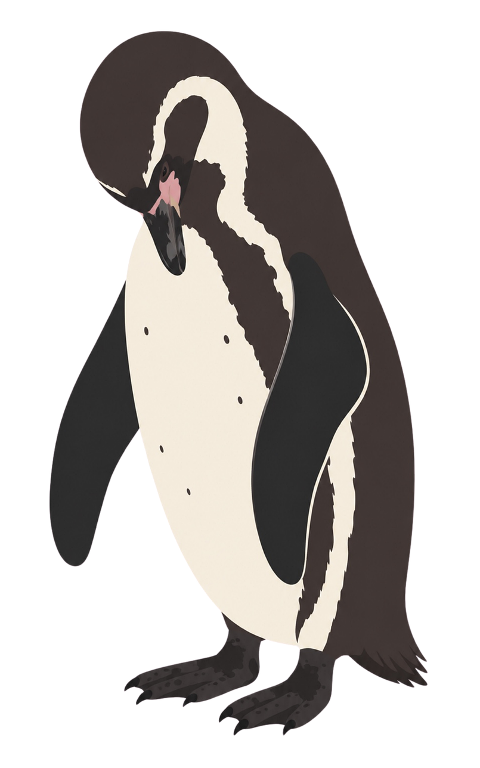 penguin-penguin-illustration-seabird-10465941