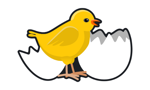 illustration-chick-chicken-egg-5021324