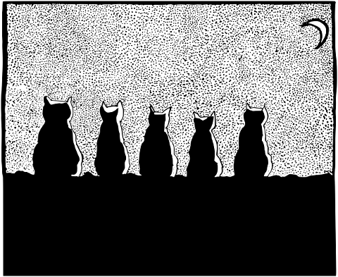 cats-animals-night-crescent-moon-7727977