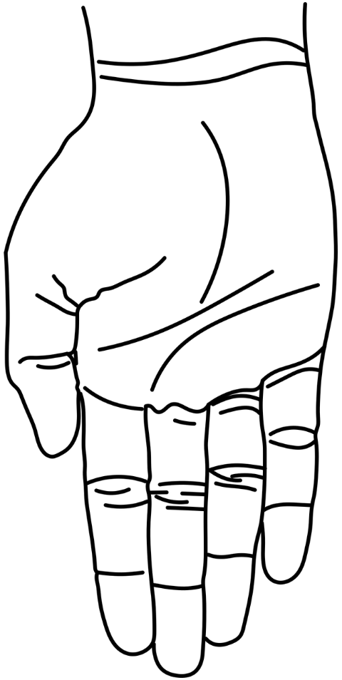 hand-palm-varmudra-mudra-6951446
