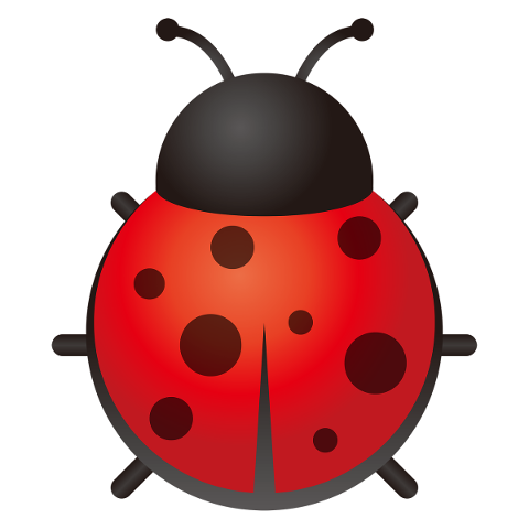 ladybug-bug-spring-insect-beetle-4924309