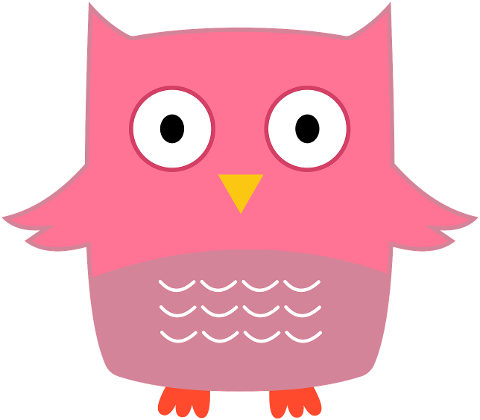 owl-bird-animal-cartoon-comic-4473104
