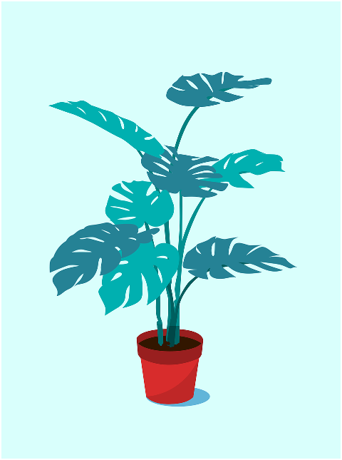 plant-foliage-monstera-leaves-7413415